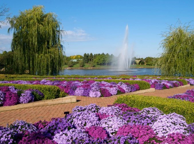 Explore Tourist Attractions & Natural Wonders - Vushii.com